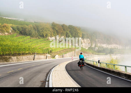 Ciclista femmina lungo il percorso del fiume con laminazione vigneti in collina e la nebbia nella valle del fiume, a nord di Remich; Lussemburgo Foto Stock