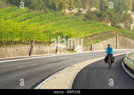 Ciclista femmina lungo un percorso di rullatura vigneti in collina e la nebbia nella valle del fiume, a nord di Remich; Lussemburgo Foto Stock