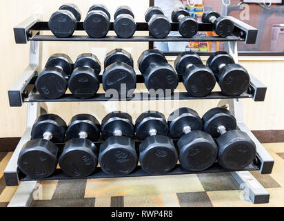 Molti manubri sono su un rack in una palestra. Foto Stock