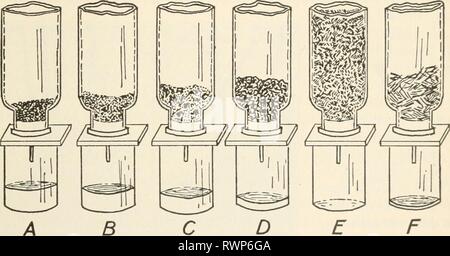 Elementi di biologia; un elementi pratici della biologia; un testo pratico-prenota la correlazione di botanica, zoologia e fisiologia umana elementsofbiolog00hunt Anno: [c1907] rimprovero e il loro lavoro 91 ad un impianto, ma ad un animale come bene. Gli alimenti sono digeriti nel tubo alimentare di un animale; vale a dire che esse sono modificate in una forma solubile di modo che essi possono passare attraverso le pareti del tubo alimentare e diventare parte del sangue. Senza il processo di osmosi che dovremmo essere in grado di utilizzare il cibo che mangiamo. Composizione del suolo. - Se si esamina una massa di argilla ordinario con cautela, scopriamo che essa è composta da un numero di p Foto Stock