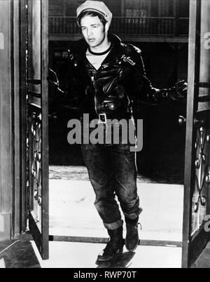 MARLON BRANDO, quello selvaggio, 1953 Foto Stock