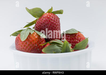 Una chiusura studio foto di fragole in una ciotola bianco. Foto Stock