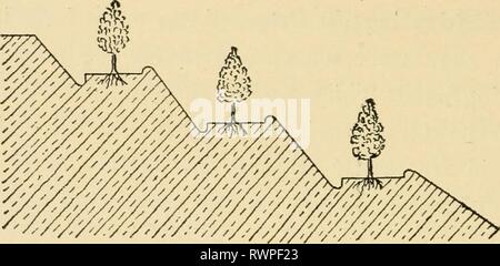 Elementi di agricoltura, per utilizzare gli elementi dell'agricoltura, per l'uso nelle scuole elementsofagricu00mcbr Anno: 1901 126 elementi di agricoltura stesso effetto di copertura del terreno con uno strato di terra asciutta. Coltivazione serve anche ad aprire il suolo per una maggiore libertà di circolazione dell'aria che alimenta ossigeno alle radici crescenti. 123. Terrazzamenti.-Ci sono due metodi per il trattamento di terreni per impedire un eccessivo lavaggio superficiale che sono specialmente applicabile per i ripidi pendii. Il terrazzamento significa che la collina è coltivata in modo tale da formare una serie di passaggi di grandi dimensioni o di terrazze e la pendenza tra la Fig. Foto Stock
