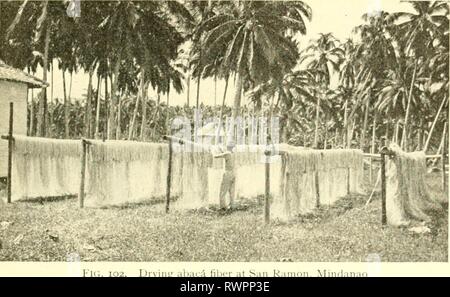 Elementi di Agricoltura delle Filippine (1908) Foto Stock
