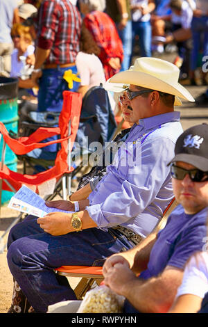 Uomo che indossa un cappello stetson presso il Parco Rillito horse racing via in Tucson, AZ Foto Stock