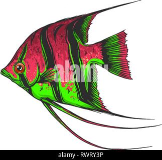 Illustrazione di un tropicali colorati pesci scalari Illustrazione Vettoriale