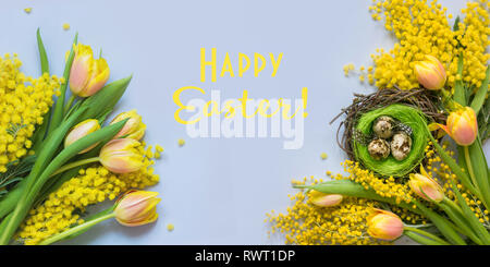 Banner di pasqua di tulipani gialli, mimosa sul blu. Vista dall'alto. Ciao a molla. Foto Stock