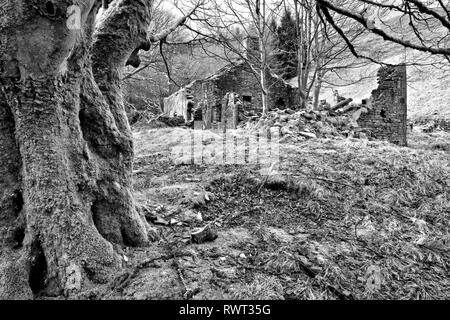 Banca Top Farm, Howdon sopra cisterna, Derbyshire (1) Foto Stock