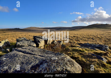 Dartmoor moorland con massi di granito e guardando attraverso le lande aperte verso Oke Tor, Devon Foto Stock