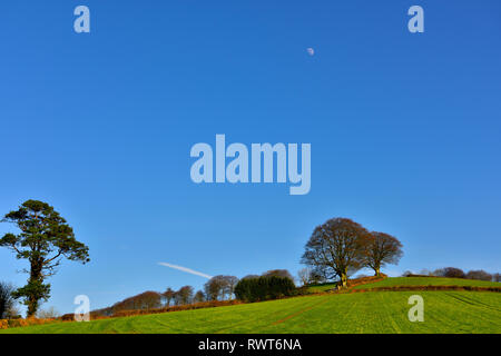 Devon vista sulla campagna con il verde delle colline, alberi vista, vicino Cadbury, Bickleigh, REGNO UNITO Foto Stock