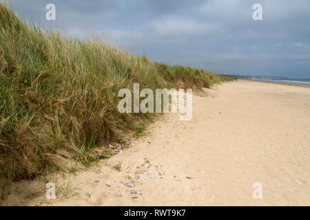 Guardando lungo il bordo spiaggia e l'inizio delle dune sulla spiaggia di Omaha in Normandia vicino a Colleville-sur-Mer, Francia. Foto Stock