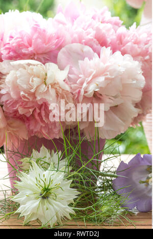 La botanica, deco con fiori di peonia, attenzione! Per Greetingcard-Use / Postcard-Use nei Paesi di lingua tedesca talune restrizioni possono applicare Foto Stock