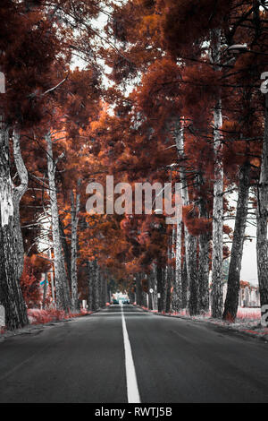 Dark moody road Foto Stock