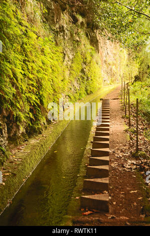 Intorno a Madeira - Levadas di Madeira Foto Stock