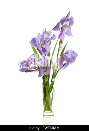 Bouquet di iridi di primavera in un vaso isolato su uno sfondo bianco. Foto Stock