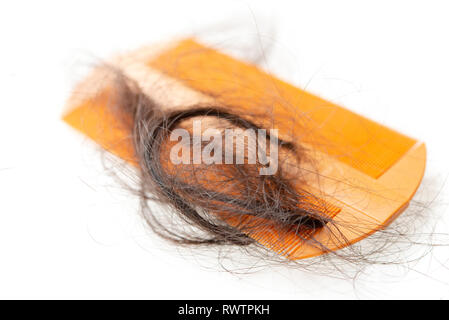 Hairloss problema. Il pettine con la perdita dei capelli in esso, isolato su sfondo bianco. Foto Stock