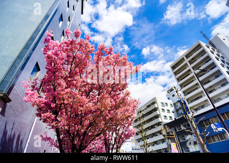 Tokyo street & architettura Foto Stock