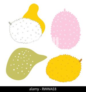 Esotici frutti tropicali Jackfuit impostati mano bozzetto doodle elementi di design con forme astratte Illustrazione Vettoriale