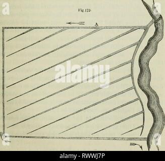 Elementi di agricoltura pratica; comprendere elementi di agricoltura pratica; comprensione della coltivazione di piante, l'allevamento di animali domestici, e l'economia dell'azienda elementsofpracti00lowd Anno: 1838 irrigazione". 469 ly asciugare per cinque o sei giorni; e questo processo di inondazione alternata ed essiccamento è generalmente continuata durante i mesi di novem- ber, Dicembre e Gennaio, avendo cura di lasciare fuori l'acqua quando si inizia a congelare. Come la primavera avanza e di erbe sparare via, i periodi di irrigazione sono accorciate, in modo che le inondazioni non ultimo al di sopra di Foto Stock
