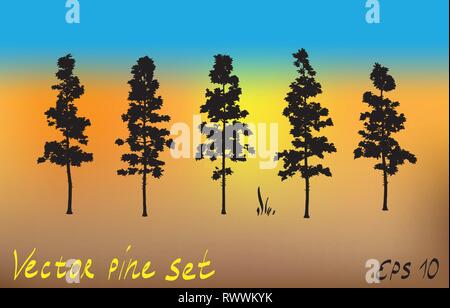 Pacific Northwest pino crescita vecchio albero sempreverde silhouette insieme Illustrazione Vettoriale