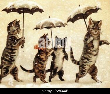 Carino gatti con ombrelloni nella neve Foto Stock