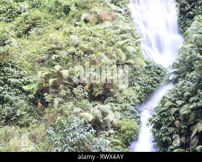 Una piccola cascata che sfocia in un fiume incontaminato è adatta per un'illustrazione di una foresta tropicale che è ancora bella Foto Stock