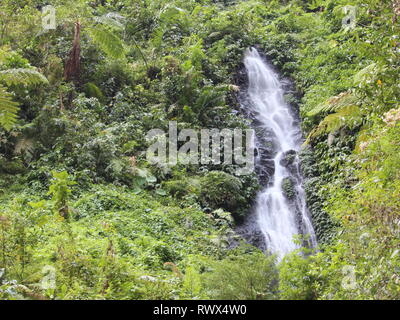 Una piccola cascata che sfocia in un fiume incontaminato è adatta per un'illustrazione di una foresta tropicale che è ancora bella Foto Stock
