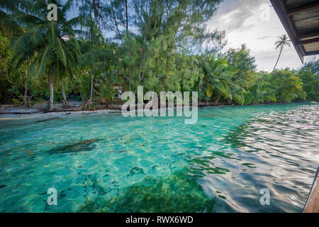 Homestay Yenkoranu a Pulau Kri Raja Ampat, Indonesia Foto Stock
