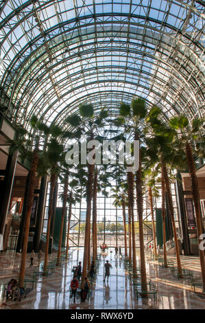 All'interno del World Financial Center di edifici per uffici nel quartiere finanziario di Manhattan. World Financial Center. Winter Garden Atrium Brookfield interno Foto Stock