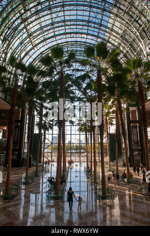 All'interno del World Financial Center di edifici per uffici nel quartiere finanziario di Manhattan. World Financial Center. Winter Garden Atrium Brookfield interno Foto Stock