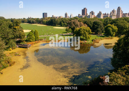 Central Park. Nelle vicinanze del 65th Street è una zona erbosa chiamata Sheep Meadow in cui centinaia di persone sdraiarsi nei mesi estivi al sole Foto Stock