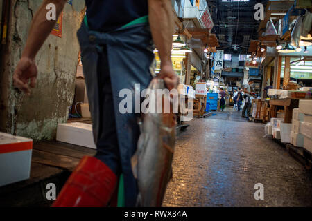 Il mercato del pesce di Tsukiji, Tokyo, Giappone, Asia, il più grande commercio all'ingrosso di mercato di pesce nel mondo. Vista di negozi, bancarelle, persone Foto Stock