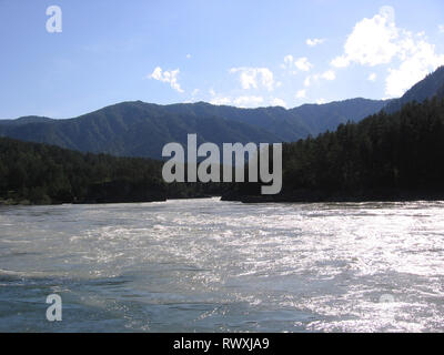 Magnifiche montagne di Altai paesaggio con rami, cedro sul fiume di Katun montagne sulle rive Foto Stock