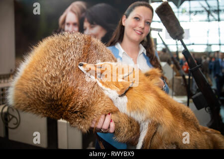 Nürnberg, Baviera, Germania. 8 Mar 2019. Un caso di fucile con pelliccia organico da la caccia sostenibile fox saranno in esposizione presso lo stand del costruttore tedesco J.P. Sauer & Sohn all'IWA OutdoorClassics fieristico per caccia e tiro, outdoor e sicurezza. Foto: Daniel Karmann/dpa Credito: dpa picture alliance/Alamy Live News Foto Stock