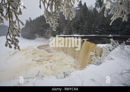 Tahquamenon Falls State Park, Chippewa County, Michigan, Stati Uniti d'America Foto Stock