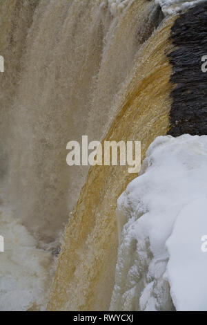 Tahquamenon Falls State Park, Chippewa County, Michigan, Stati Uniti d'America Foto Stock