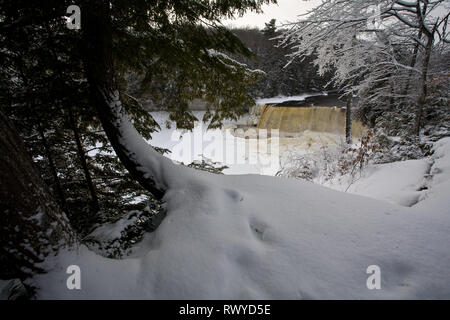 Tahquamenon Falls State Park, Chippewa County, Michigan, Stati Uniti d'America Foto Stock