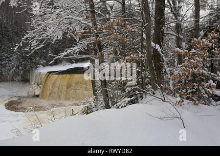 Tahquamenon Falls State Park, Chippewa County, Michigan, Stati Uniti d'America Foto Stock