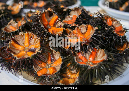 Ricci di mare con le uova di colore arancione per il sushi, close up Foto Stock