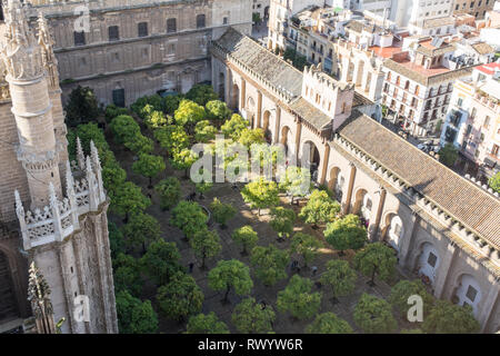 Vista dalla Giralda, la torre campanaria che forma parte della Cattedrale di Siviglia Foto Stock