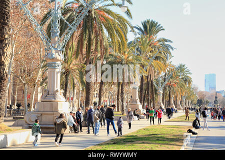 Parc de la Ciutadella, Passeig de Lluís Companys, Barcellona Foto Stock