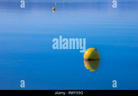 La boa galleggiante in acqua Foto Stock