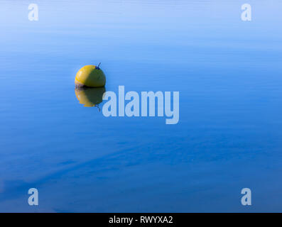 La boa galleggiante in acqua Foto Stock