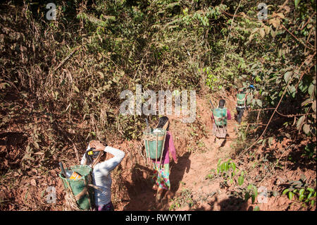 Mato Grosso Membro, Brasile. Kayapo donne indiane con design tradizionale ceste, ma fatta di plastica nastro di rilegatura, trekking nella foresta pluviale per raccogliere Foto Stock