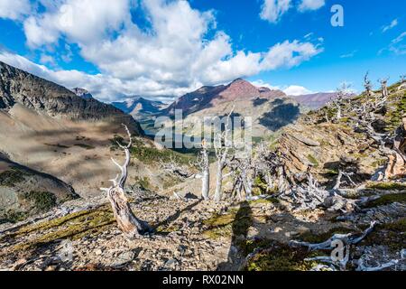 Vista da Continental Divide Trail sul lago di montagna Medicina due Lago con il paesaggio di montagna, Rising Wolf Mountain Foto Stock