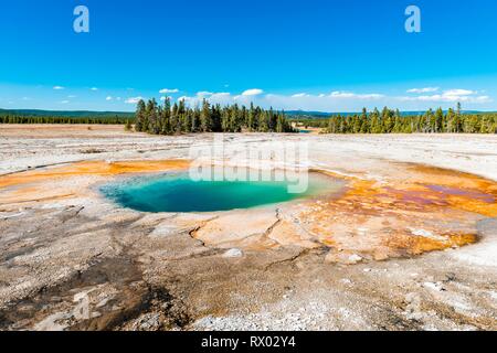 La cottura a vapore di acqua di sorgente calda con colorati depositi minerali, piscina turchese, Midway Geyser Basin, il Parco Nazionale di Yellowstone, Wyoming USA Foto Stock