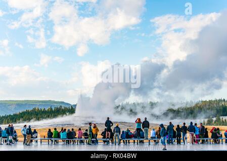 I turisti osservare Eruzione del geyser Old Faithful, il Parco Nazionale di Yellowstone, Wyoming USA Foto Stock