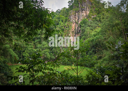 Londa sepoltura Grotte - l'oggetto contrassegnato per la rimozione definitiva in Tana Toraja Regency, Sulawesi meridionale. Il sito dispone di due grotte naturali dove le ossa del defunto sono. Foto Stock