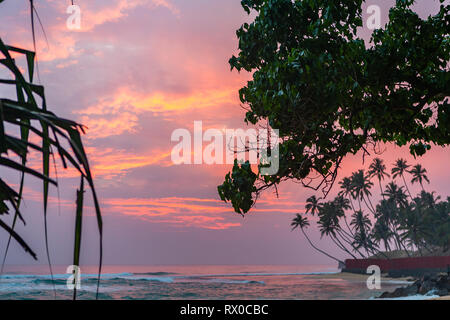 Rosa tramonto in Unawatuna, Sri Lanka. Foto Stock