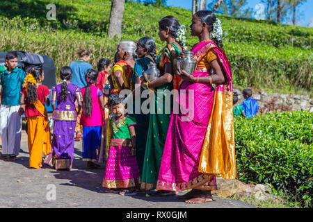 Haputale, Sri Lanka - 26 dicembre 2018: tradizionale celebrazione indù vicino la piantagione di tè in Haputale, Sri Lanka. Foto Stock